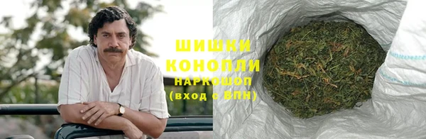 сатива Абаза
