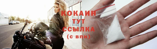 молекула духа Осташков