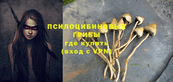 тгк Абдулино