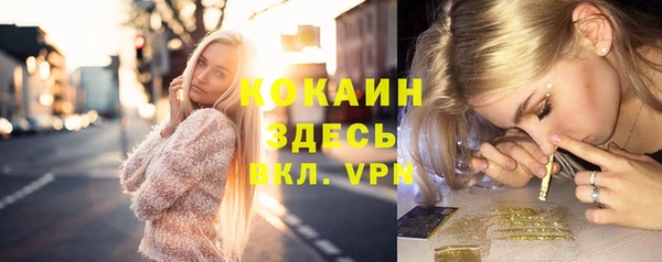 молекула духа Осташков