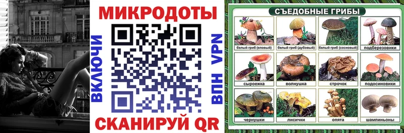 Галлюциногенные грибы Psilocybine cubensis  Усолье 
